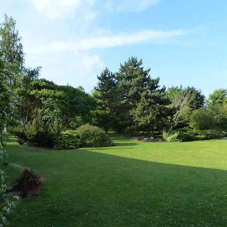 Les Reves De Flamboin Bed & Breakfast Gouaix Exterior photo