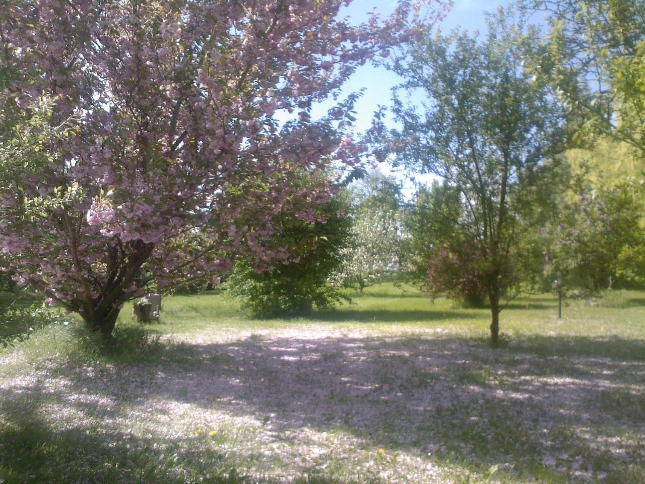 Les Reves De Flamboin Bed & Breakfast Gouaix Exterior photo