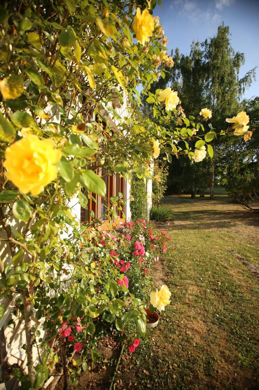 Les Reves De Flamboin Bed & Breakfast Gouaix Exterior photo